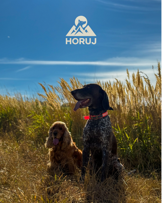 Výbava pro lovecké psy