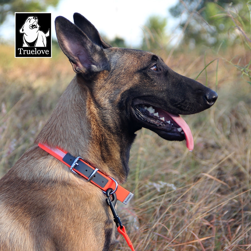 Voděodolný Obojek Truelove - oranžový