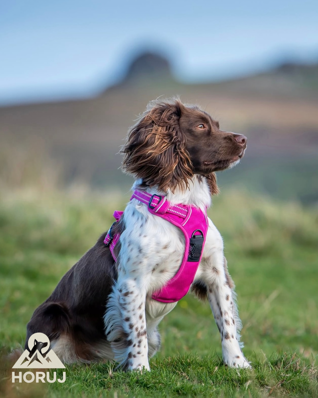 Upgrade Postroj Truelove - růžový