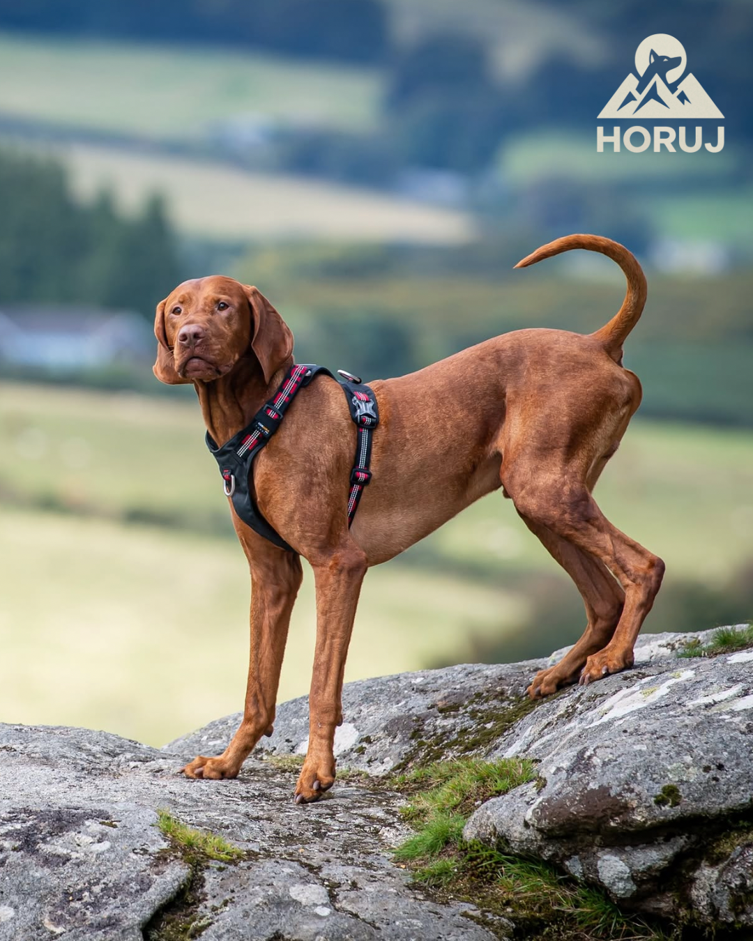 Outdoor Postroj Truelove - černý