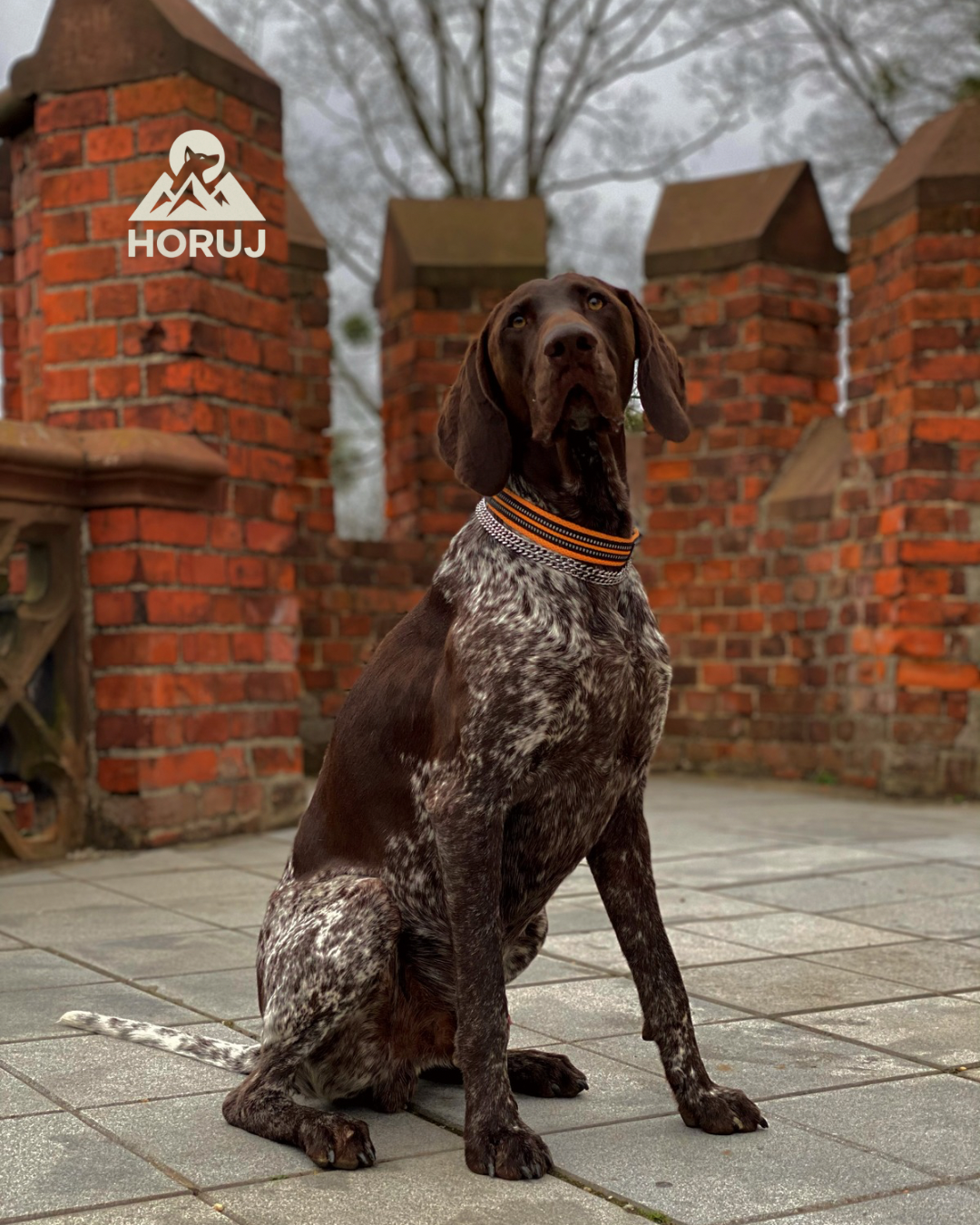 Ergonomický Obojek Truelove - oranžový