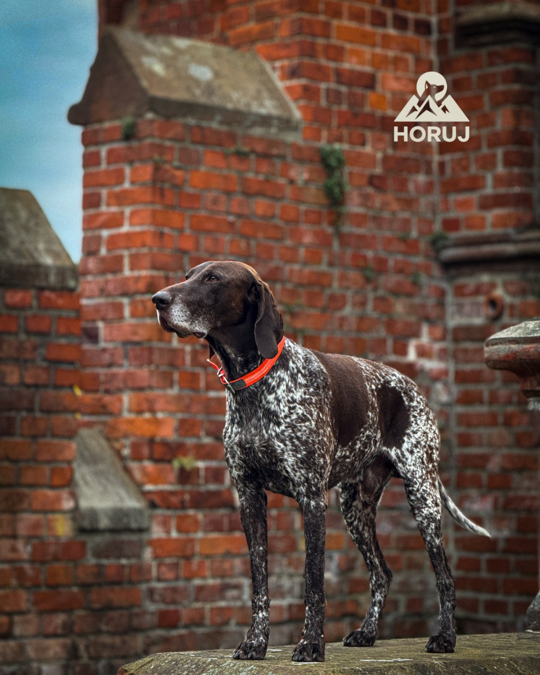 Voděodolný Obojek Truelove - oranžový